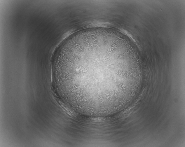 X0000075411219200610061949