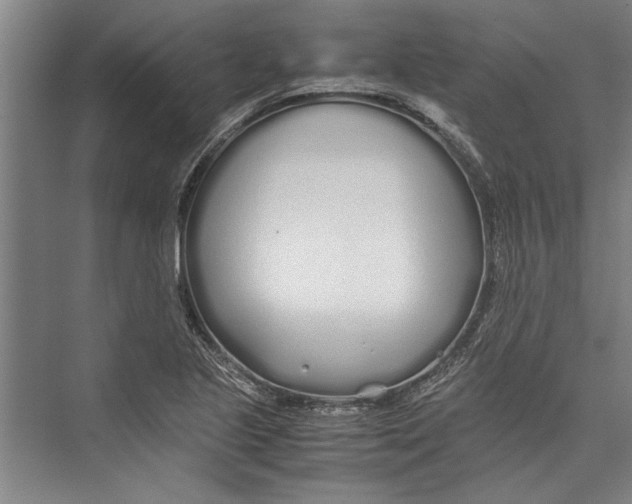 X0000075411221200610061949