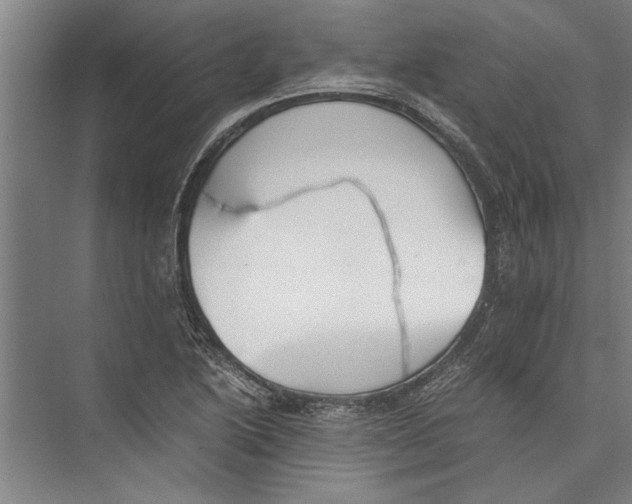 X0000075411222200610061949