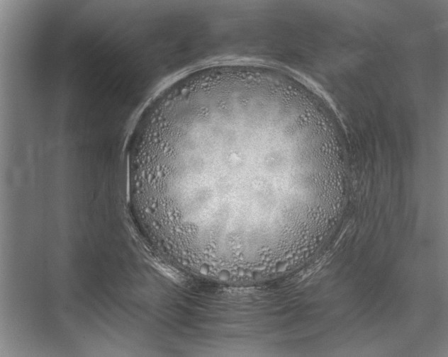 X0000075411223200610061949