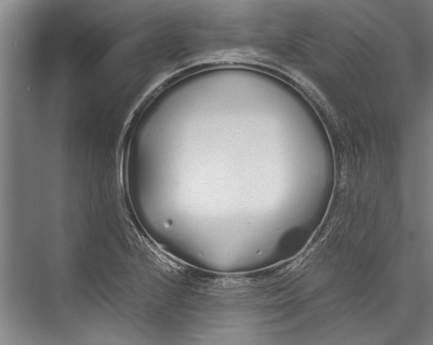 X0000075411224200610061949