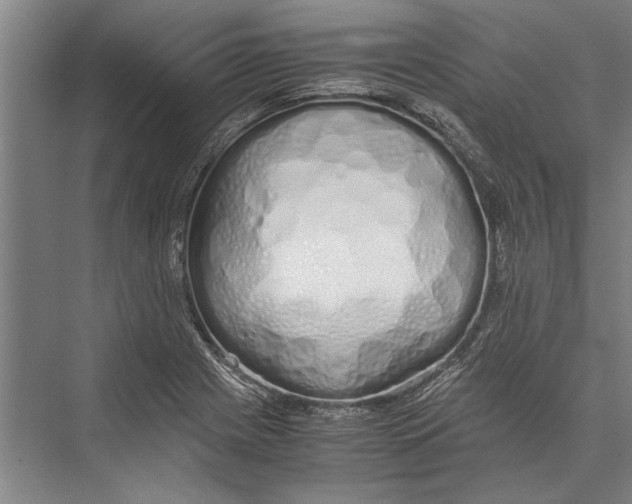 X0000075411225200610061949