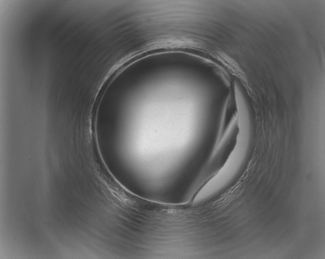 X0000075411226200610061949