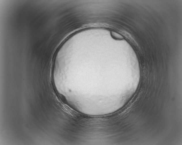 X0000075411228200610061949