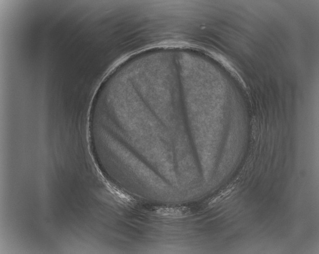 X0000075411229200610061949