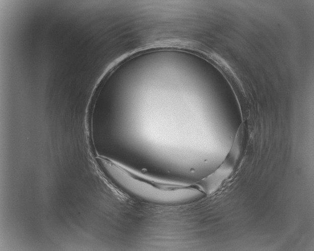 X0000075411230200610061949