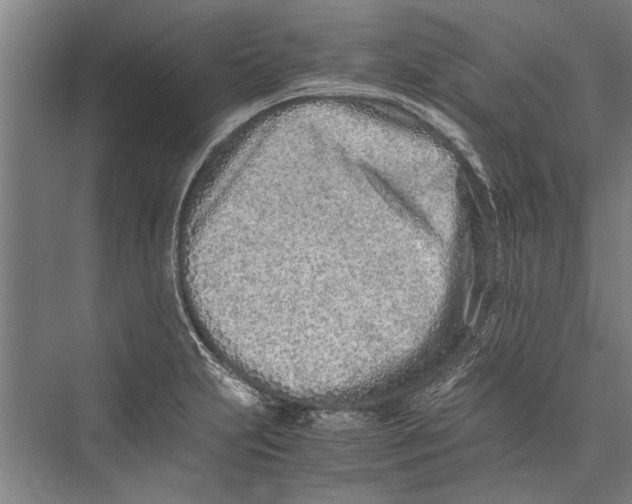 X0000075411231200610061949