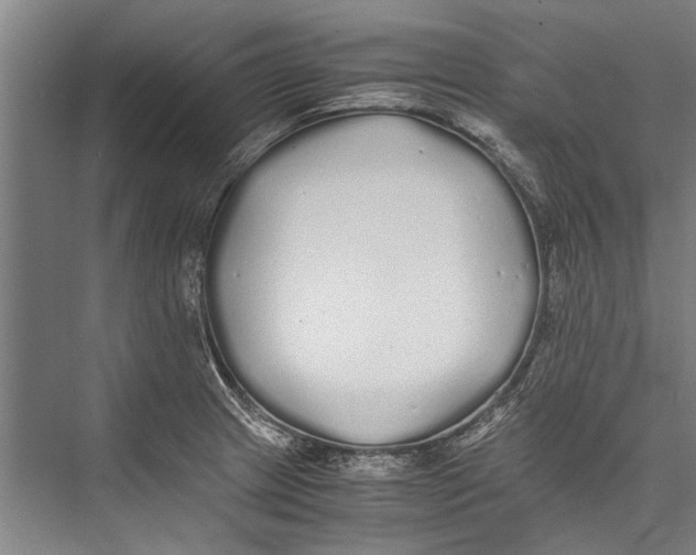 X0000075411233200610061949