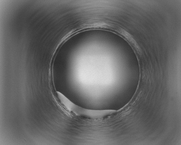 X0000075411234200610061949