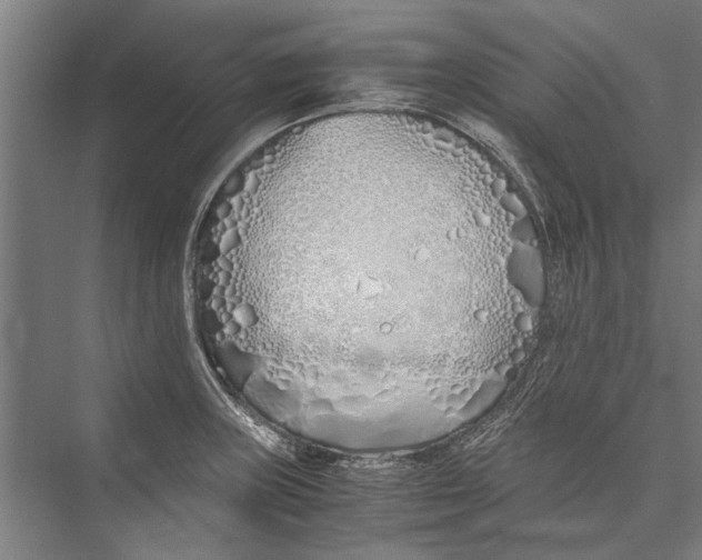 X0000075411235200610061949