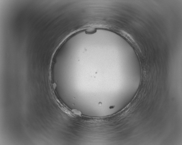 X0000075411236200610061949