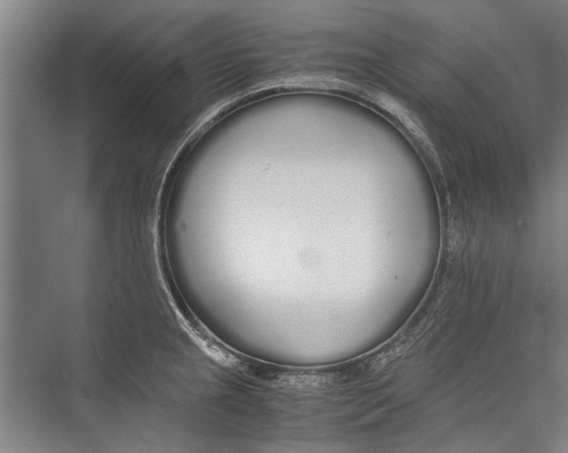 X0000075411237200610061949