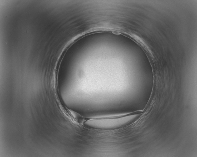 X0000075411238200610061949