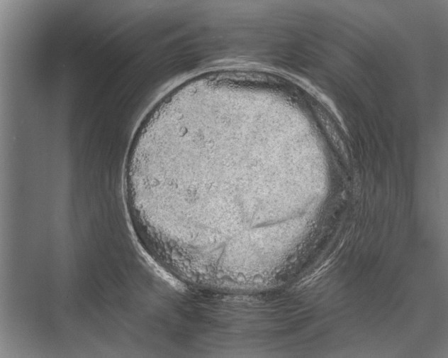 X0000075411239200610061949