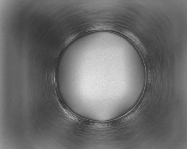 X0000075411241200610061949