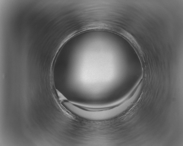 X0000075411242200610061949