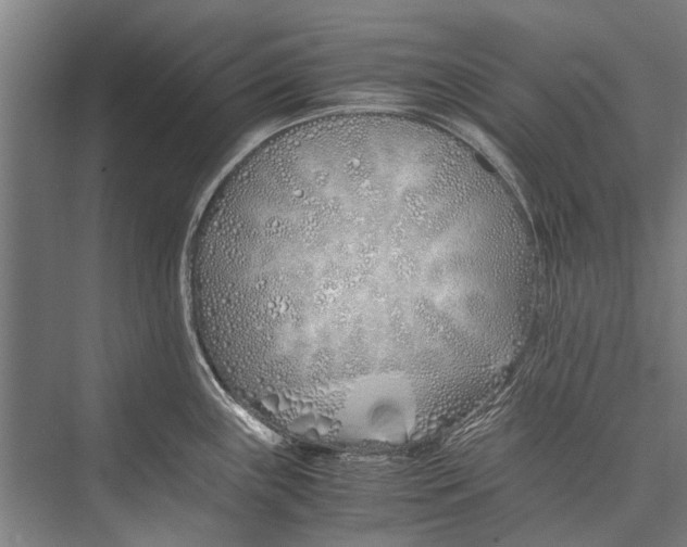 X0000075411243200610061949