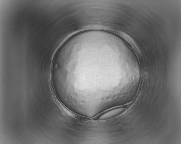 X0000075411244200610061949