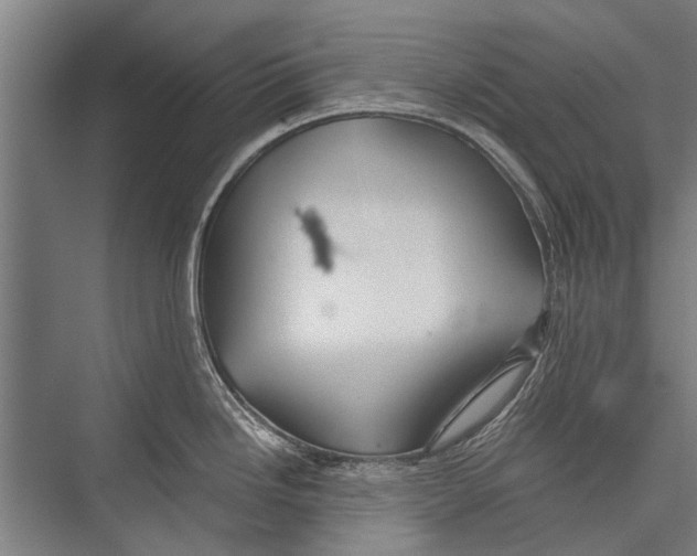 X0000075411246200610061949