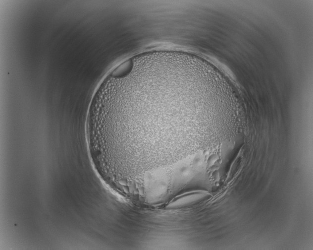 X0000075411247200610061949