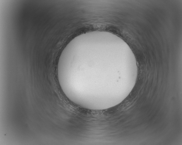 X0000075411249200610061948