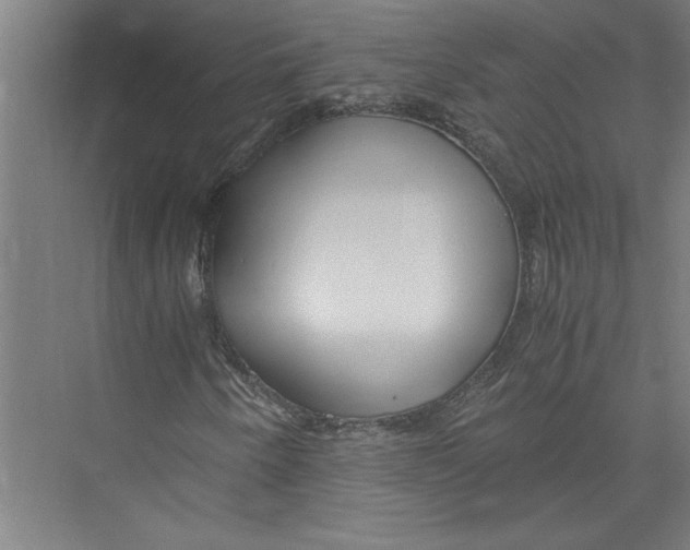 X0000075411250200610061948