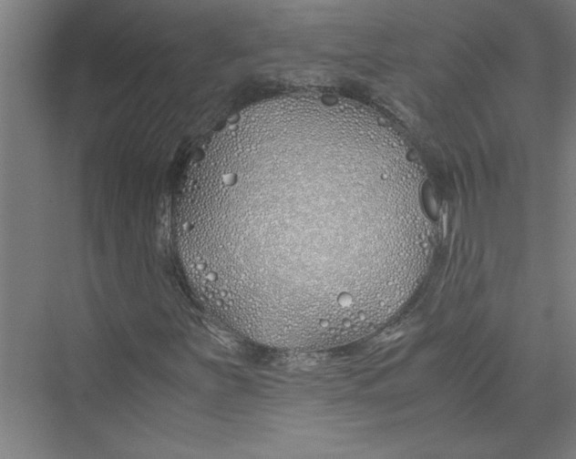 X0000075411251200610061948