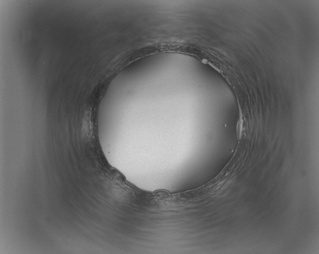 X0000075411252200610061948