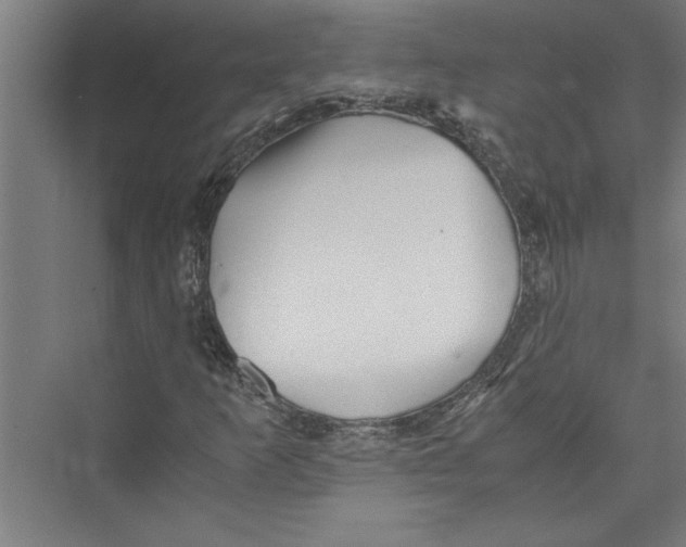 X0000075411253200610061948