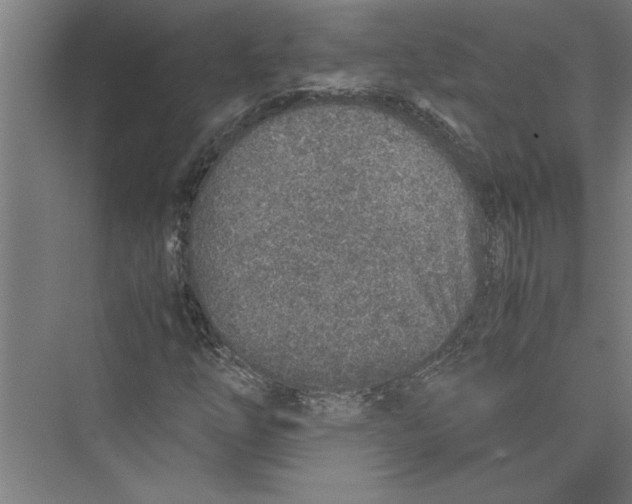 X0000075411254200610061948