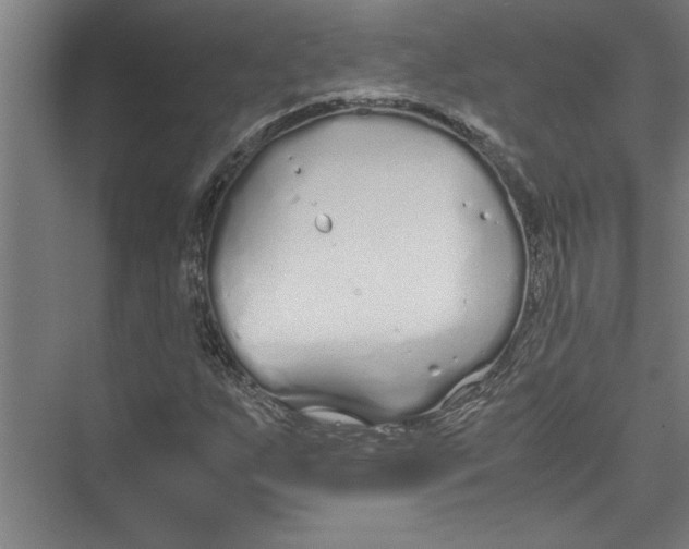 X0000075411255200610061948