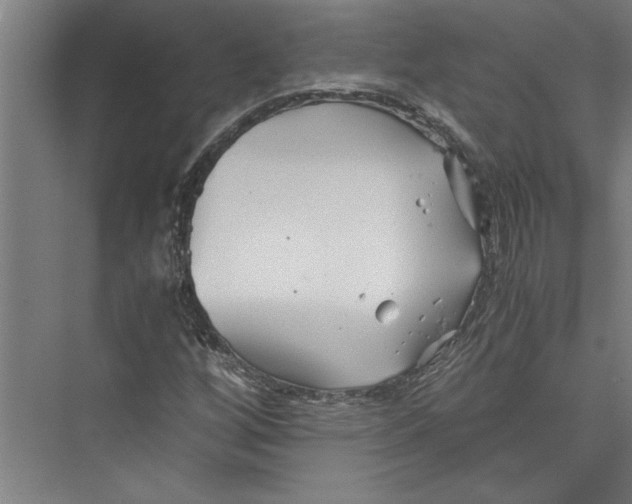 X0000075411256200610061948