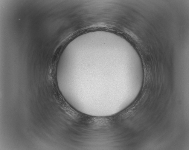 X0000075411258200610061948