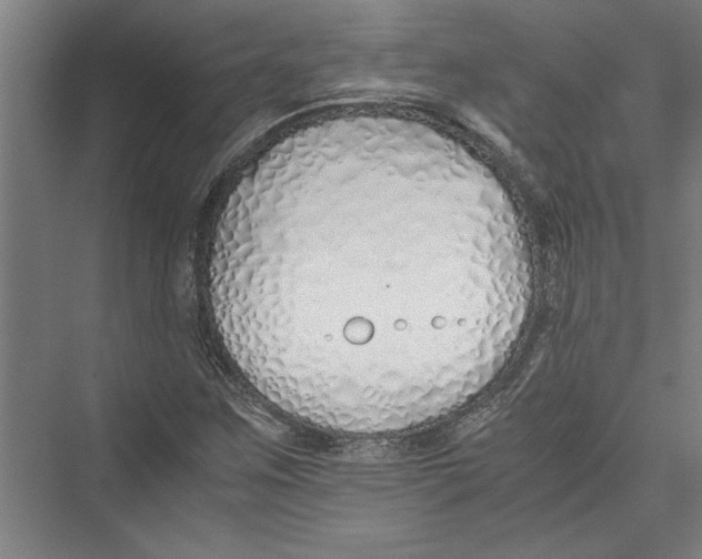 X0000075411259200610061948