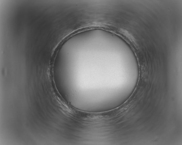 X0000075411260200610061948