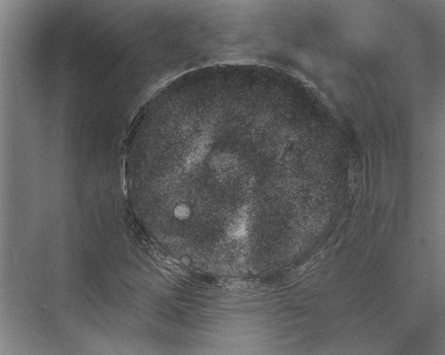 X0000075411262200610061948