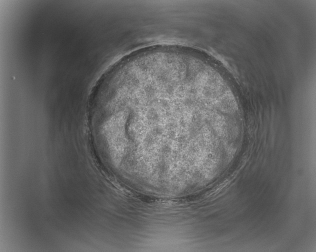 X0000075411263200610061948