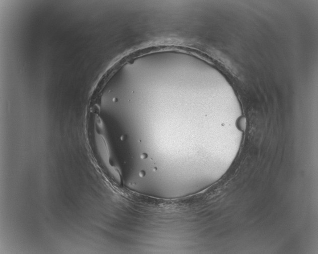 X0000075411264200610061948