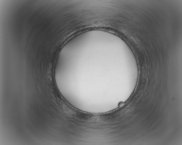 X0000075411265200610061948