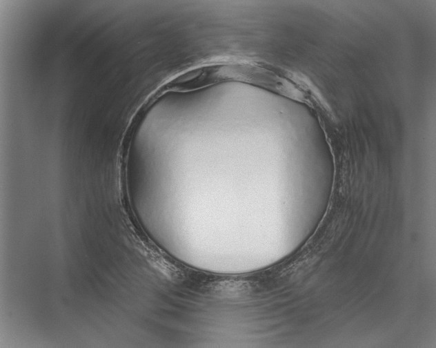 X0000075411268200610061948