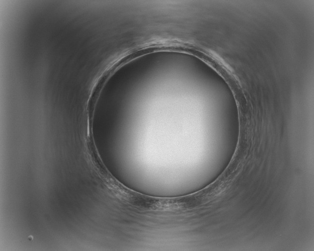 X0000075411269200610061948