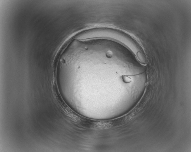 X0000075411271200610061948