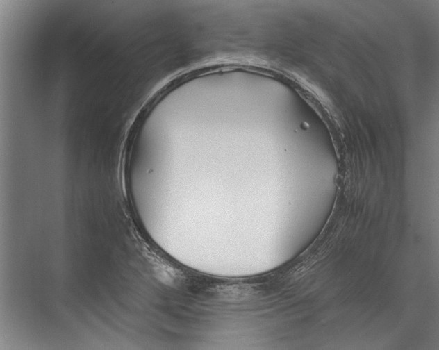 X0000075411272200610061948