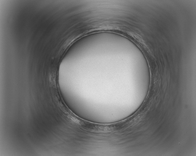 X0000075411273200610061948