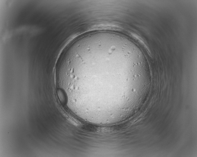 X0000075411275200610061948