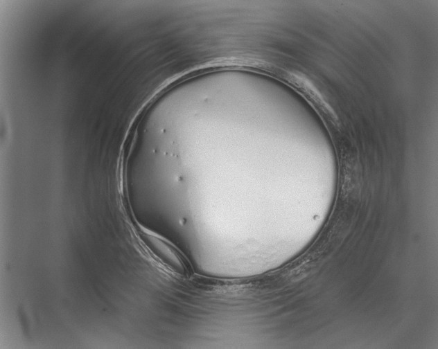 X0000075411276200610061948