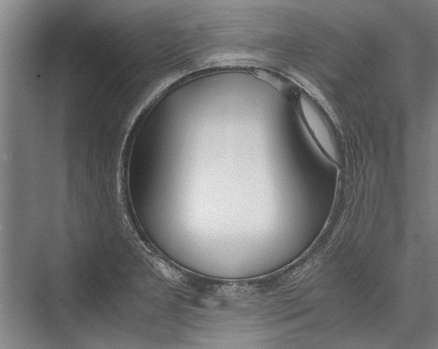 X0000075411277200610061948