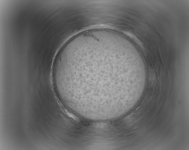 X0000075411278200610061948