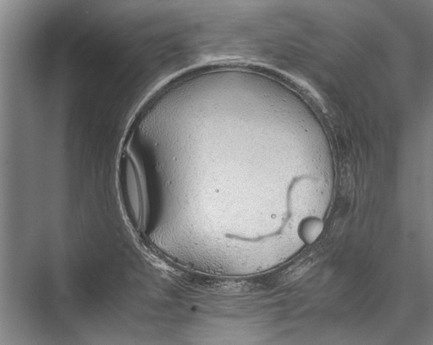 X0000075411279200610061948