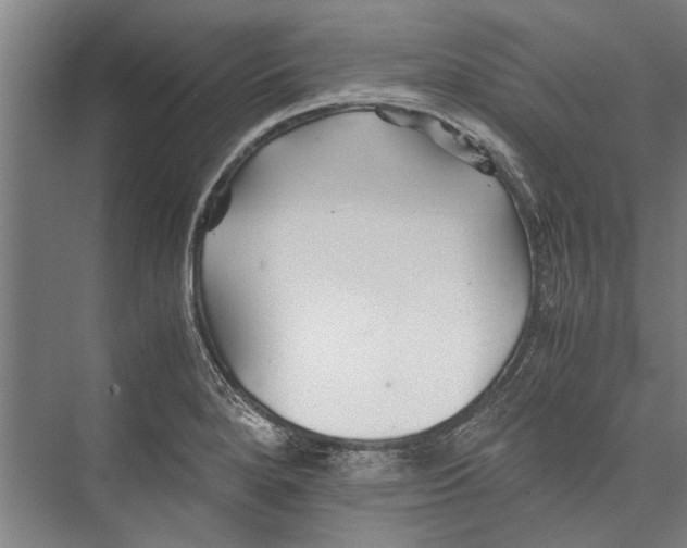 X0000075411280200610061948